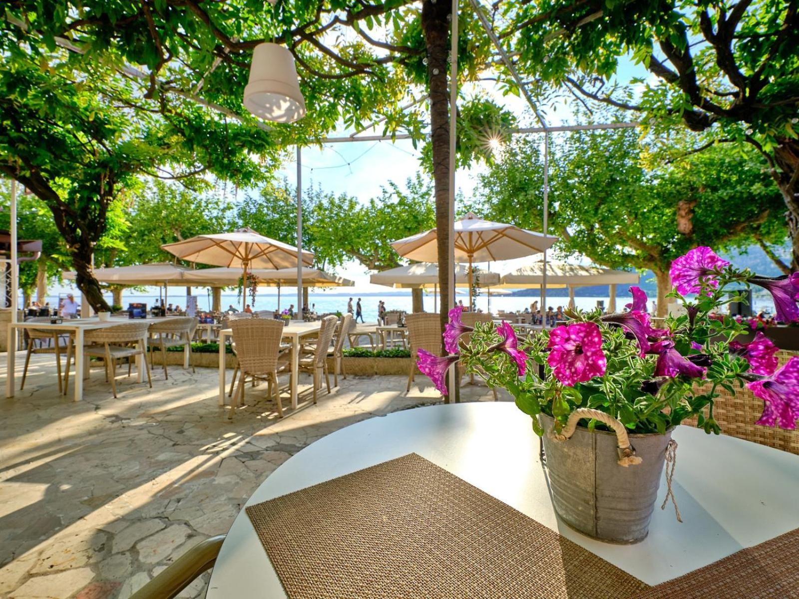Hotel Conca D'oro ***s Garda (Verona)